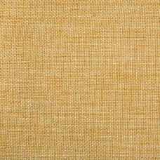 Ткань Kravet fabric 4458.4.0