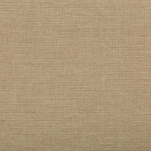 Ткань Kravet fabric 4645.16.0