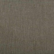 Ткань Kravet fabric 4645.1621.0