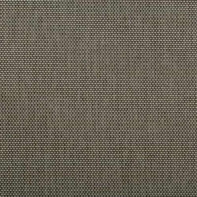 Ткань Kravet fabric 4645.1621.0