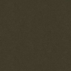 Ткань Kravet fabric ABILENE.66.0