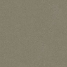 Ткань Kravet fabric ALI.11.0