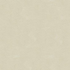 Ткань Kravet fabric ALI.111.0