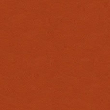 Ткань Kravet fabric ALI.12.0