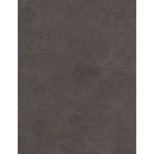 Ткань Kravet fabric AM100017.21.0
