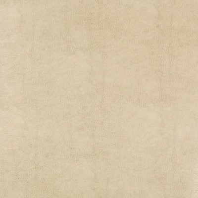 Ткань BEHOLDER.116.0 Kravet fabric
