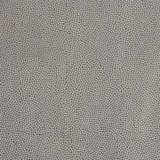 Ткань Kravet fabric BEAUTYMARK.11.0