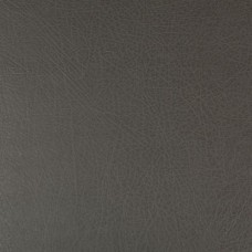 Ткань Kravet fabric DEIMOS.21.0