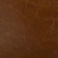 Ткань Kravet fabric LIPIZZAN.6.0