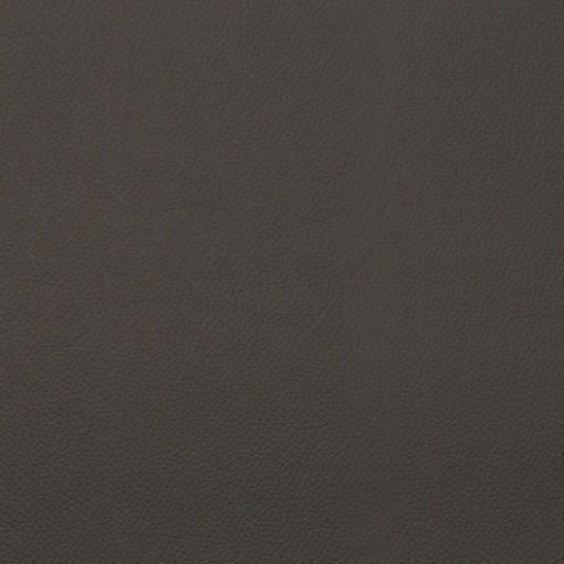Ткань Kravet fabric EXTREME.8.0