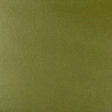 Ткань Kravet fabric FRANKEL.3.0