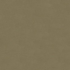 Ткань Kravet fabric GRANA.11.0