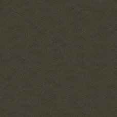 Ткань Kravet fabric GRANA.21.0
