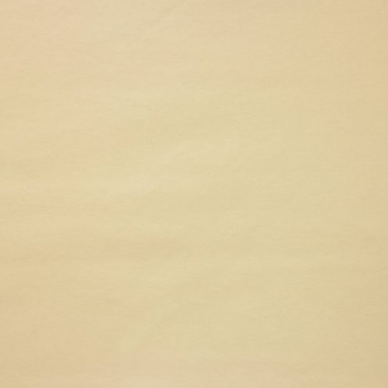 Ткань Kravet fabric KASTON.116.0
