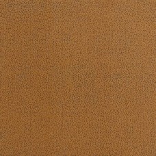 Ткань Kravet Kravet couture IMPACT.24.0