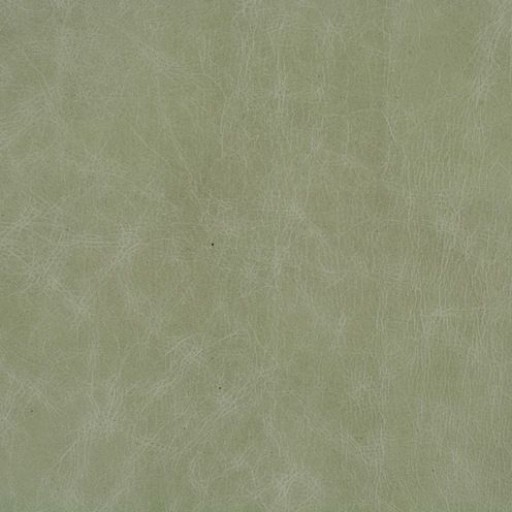 Ткань Kravet fabric L-CUERO.EUCALYPTUS.0