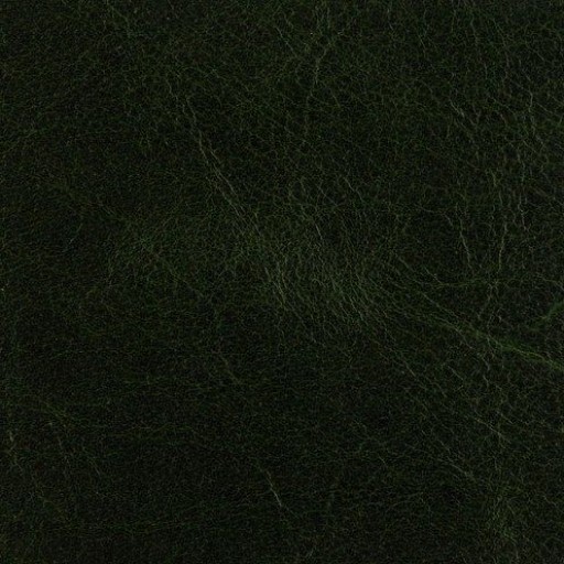Ткань Kravet fabric L-ARIZONA.FOREST.0