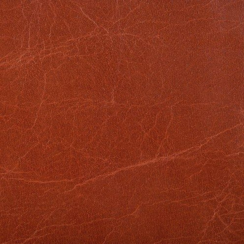 Ткань Kravet fabric L-HAUTE.MADDER.0 Ткань Kravet fabric L-HAUTE.MADDER.0