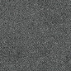 Ткань Kravet fabric LITESTAR.21.0