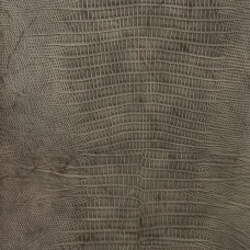 Ткань Kravet fabric NAMAQUA.21.0