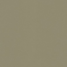 Ткань Kravet fabric NEWT.11.0