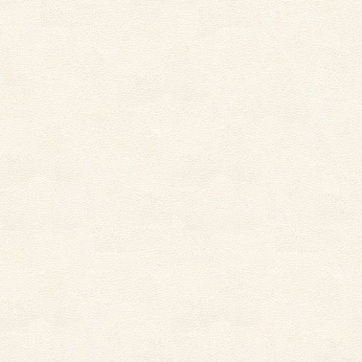 Ткань Kravet fabric NEVE.101.0