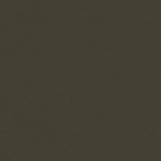 Ткань Kravet fabric NEWT.21.0