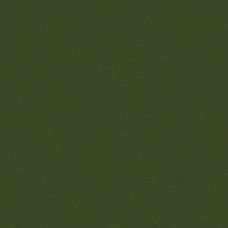 Ткань Kravet fabric NEWT.303.0