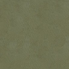 Ткань Kravet fabric OSSY.11.0