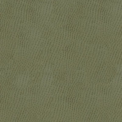 Ткань Kravet fabric OSSY.11.0