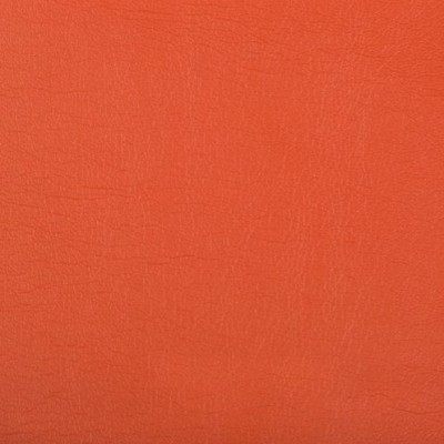 Ткань Kravet fabric OPTIMA.12.0
