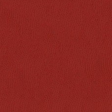 Ткань Kravet fabric OSSY.19.0