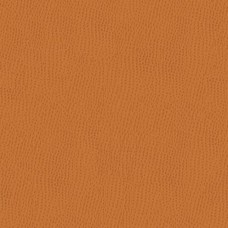 Ткань Kravet fabric OSSY.212.0