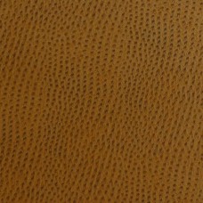 Ткань Kravet fabric OSSY.24.0