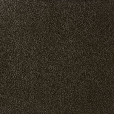 Ткань Kravet fabric OTTO.66.0