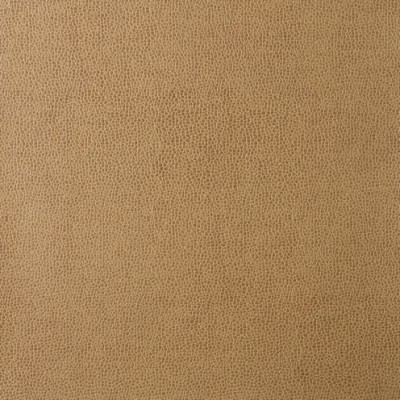 Ткань Kravet fabric SPARTA.16.0