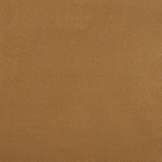Ткань Kravet Kravet Design SPARTA.4.0