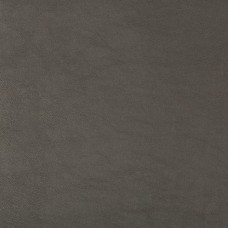 Ткань Kravet fabric SWAPS.21.0