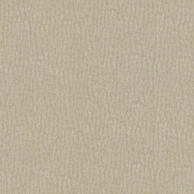 Ткань Kravet fabric PINWHEEL.16.0