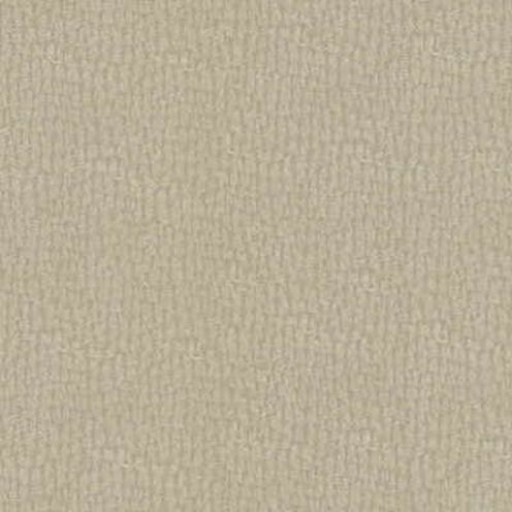 Ткань Kravet fabric PINWHEEL.16.0