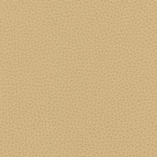 Ткань Kravet fabric RIGEL.16.0