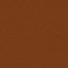 Ткань Kravet fabric RIGEL.24.0