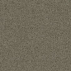 Ткань Kravet fabric RIGEL.11.0