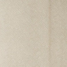 Ткань Kravet fabric ROXANNE.116.0