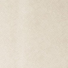 Ткань Kravet fabric ROXANNE.111.0