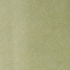 Ткань Kravet fabric ROXANNE.13.0