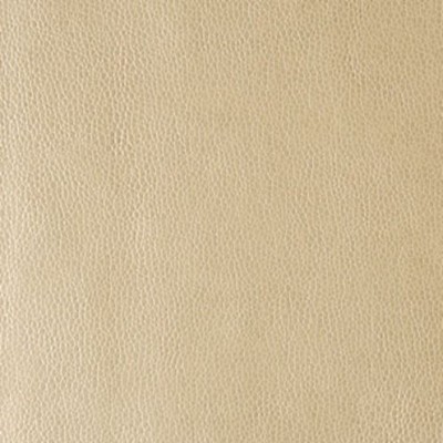Ткань Kravet fabric RUMORS.116.0