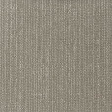 Ткань Kravet fabric SASA.11.0