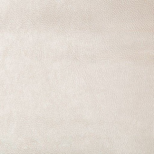 Ткань Kravet fabric SECRETARIA.16.0