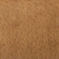 Ткань Kravet fabric SENNA.3.0